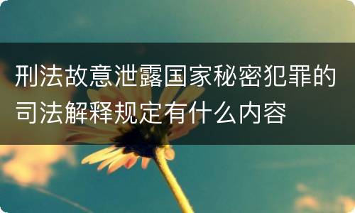 刑法故意泄露国家秘密犯罪的司法解释规定有什么内容