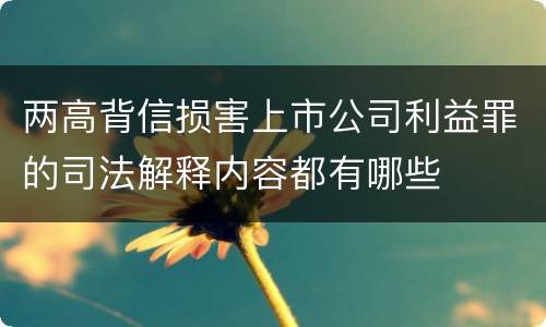 两高背信损害上市公司利益罪的司法解释内容都有哪些