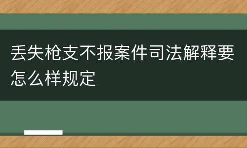 丢失枪支不报案件司法解释要怎么样规定