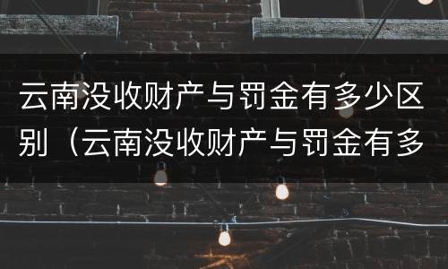 云南没收财产与罚金有多少区别（云南没收财产与罚金有多少区别呢）