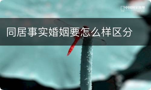 同居事实婚姻要怎么样区分