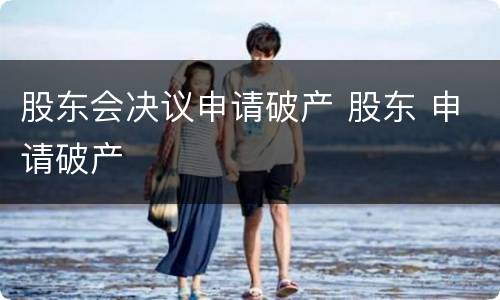 股东会决议申请破产 股东 申请破产