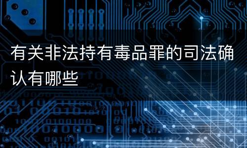 有关非法持有毒品罪的司法确认有哪些