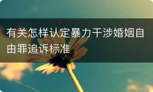 有关怎样认定暴力干涉婚姻自由罪追诉标准