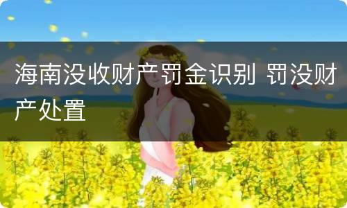 海南没收财产罚金识别 罚没财产处置