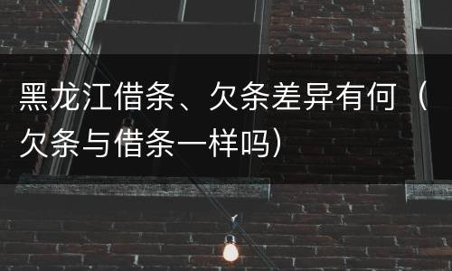 黑龙江借条、欠条差异有何（欠条与借条一样吗）