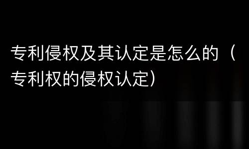 专利侵权及其认定是怎么的（专利权的侵权认定）