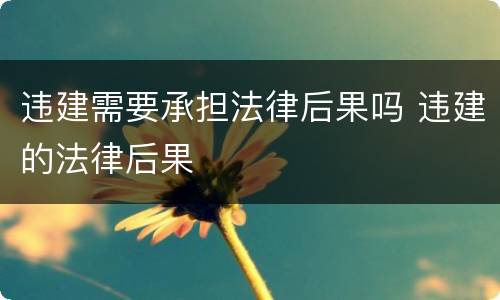 违建需要承担法律后果吗 违建的法律后果