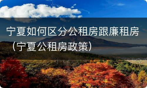 宁夏如何区分公租房跟廉租房（宁夏公租房政策）