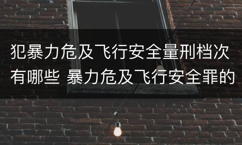 犯暴力危及飞行安全量刑档次有哪些 暴力危及飞行安全罪的构成要件