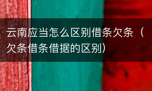 云南应当怎么区别借条欠条（欠条借条借据的区别）
