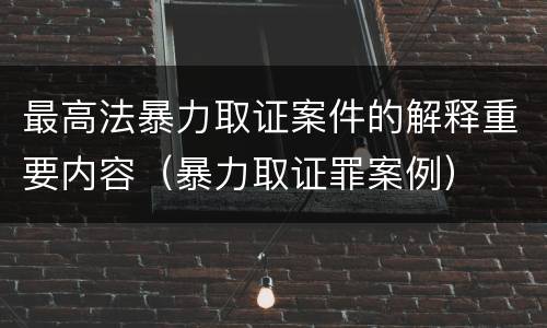 最高法暴力取证案件的解释重要内容（暴力取证罪案例）