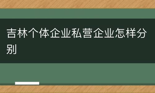 吉林个体企业私营企业怎样分别