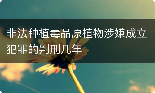 非法种植毒品原植物涉嫌成立犯罪的判刑几年
