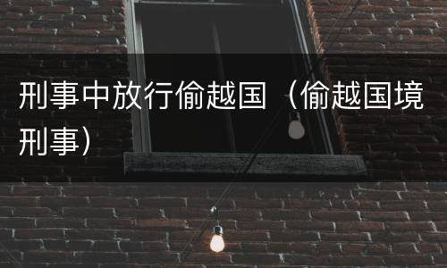 刑事中放行偷越国（偷越国境刑事）