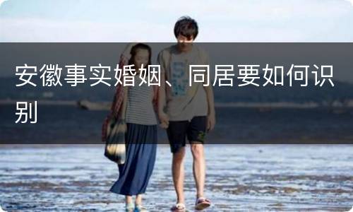 安徽事实婚姻、同居要如何识别