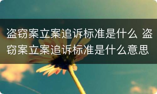 盗窃案立案追诉标准是什么 盗窃案立案追诉标准是什么意思
