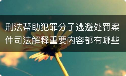 刑法帮助犯罪分子逃避处罚案件司法解释重要内容都有哪些