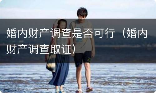 婚内财产调查是否可行（婚内财产调查取证）