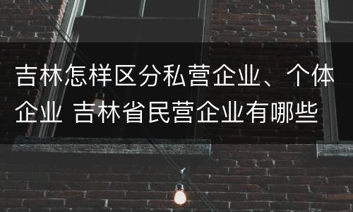 吉林怎样区分私营企业、个体企业 吉林省民营企业有哪些