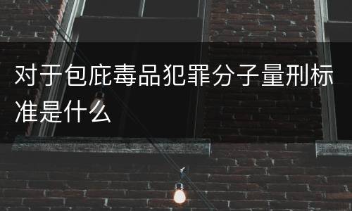 对于包庇毒品犯罪分子量刑标准是什么