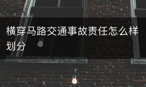 横穿马路交通事故责任怎么样划分