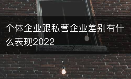 个体企业跟私营企业差别有什么表现2022