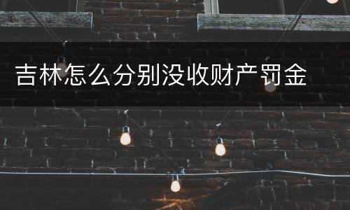 吉林怎么分别没收财产罚金