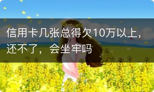信用卡几张总得欠10万以上，还不了，会坐牢吗