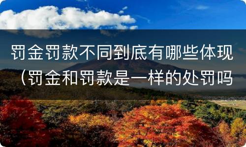 罚金罚款不同到底有哪些体现（罚金和罚款是一样的处罚吗）