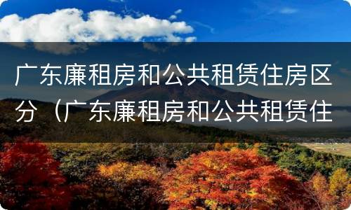 广东廉租房和公共租赁住房区分（广东廉租房和公共租赁住房区分吗）