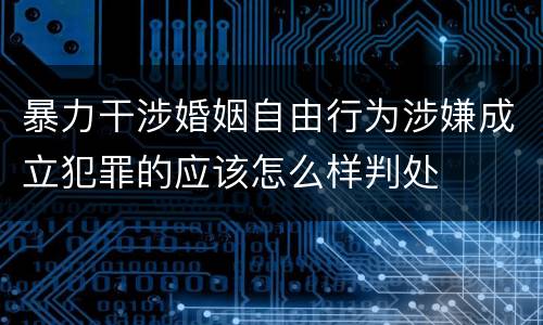 暴力干涉婚姻自由行为涉嫌成立犯罪的应该怎么样判处