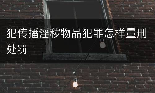 犯传播淫秽物品犯罪怎样量刑处罚
