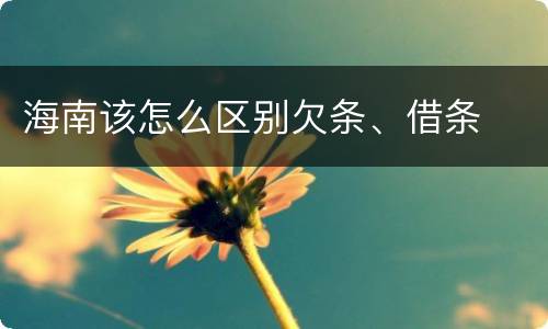 海南该怎么区别欠条、借条