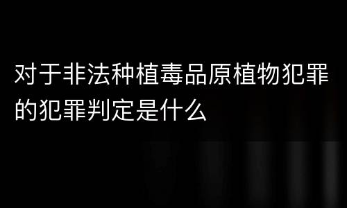 对于非法种植毒品原植物犯罪的犯罪判定是什么