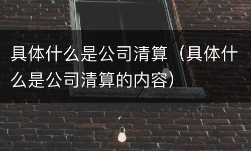 具体什么是公司清算（具体什么是公司清算的内容）