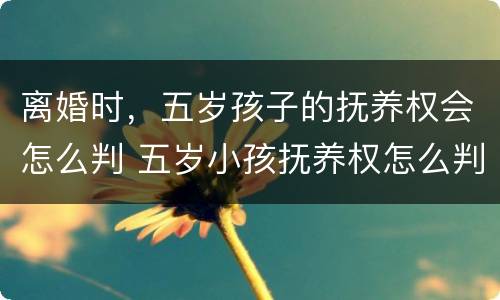 离婚时，五岁孩子的抚养权会怎么判 五岁小孩抚养权怎么判