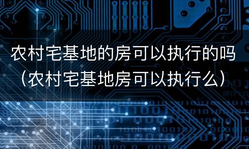 农村宅基地的房可以执行的吗（农村宅基地房可以执行么）