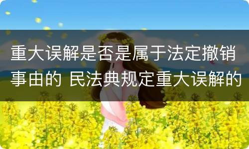 重大误解是否是属于法定撤销事由的 民法典规定重大误解的撤销期间