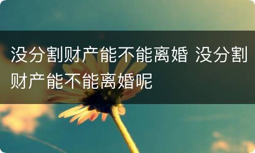 没分割财产能不能离婚 没分割财产能不能离婚呢