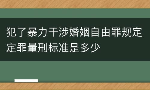 犯了暴力干涉婚姻自由罪规定定罪量刑标准是多少