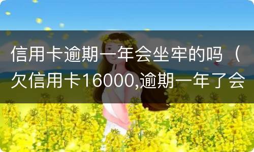 信用卡逾期一年会坐牢的吗（欠信用卡16000,逾期一年了会坐牢么?）
