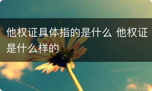 他权证具体指的是什么 他权证是什么样的