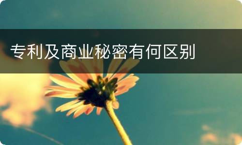 专利及商业秘密有何区别