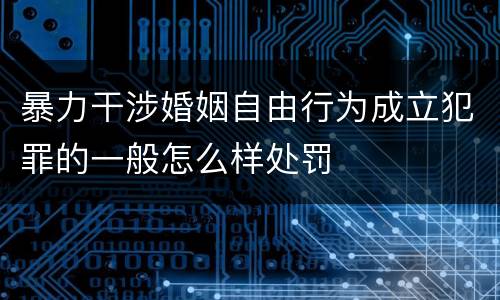 暴力干涉婚姻自由行为成立犯罪的一般怎么样处罚