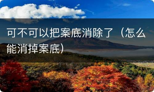 可不可以把案底消除了（怎么能消掉案底）