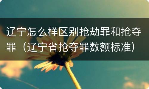 辽宁怎么样区别抢劫罪和抢夺罪（辽宁省抢夺罪数额标准）