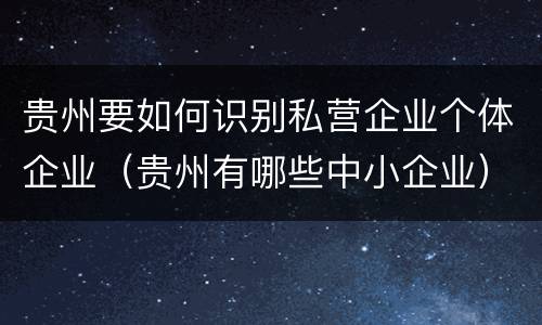 贵州要如何识别私营企业个体企业（贵州有哪些中小企业）