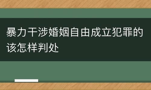 暴力干涉婚姻自由成立犯罪的该怎样判处
