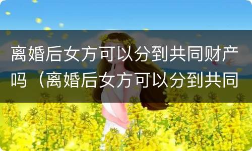 离婚后女方可以分到共同财产吗（离婚后女方可以分到共同财产吗怎么分）